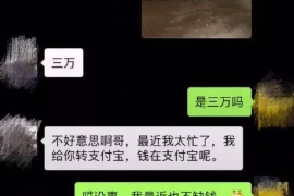 铁西为什么选择专业追讨公司来处理您的债务纠纷？